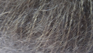 Rowan Kidsilk Haze Drab  per stuk